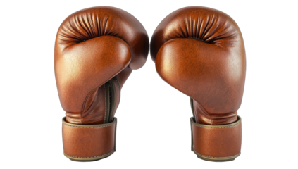 Two vintage boxing gloves