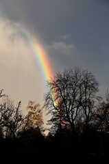 Regenbogen am Nachmittag
