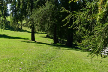 Schöne Landschaft am Salten in Südtirol 