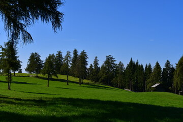 Schöne Landschaft am Salten in Südtirol 