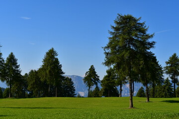 Obraz premium Schöne Landschaft am Salten in Südtirol 