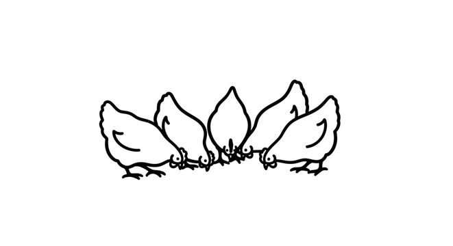 black and white chickens eating together clip art preview
