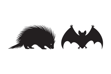 Silhouette of a porcupine and a bat on a white background