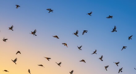 Obraz premium Birds flying in the blue sky in morning showing freedom wildlife nature beauty and peaceful environment