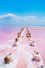 an incredibly beautiful natural phenomenon, a pink lake, a salt flat where salt is mined, with soft...