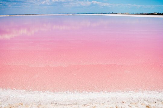 incredibly beautiful natural phenomenon pink lake salt flats where salt is mined with soft pink water blue sky fluffy clouds and snow-white salt on the shore and pink water in the lake