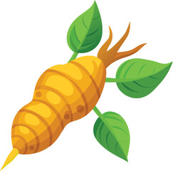 Turmeric root