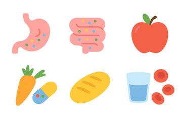 Nutrient Absorption Icons. Flat vector mini-illustrations nutrient absorption in colors children's illustrations: stomach,
