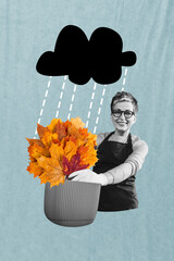 Trend artwork composite banner photo collage of aged woman smile hand hold basket bouquet maple...