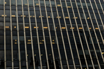 Close-Up Office Building Facade Showcasing Metal Mullions and Reflective Windows