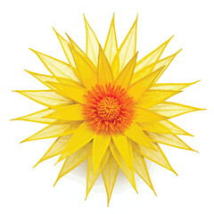 Vector illustration of yellow starburst flower