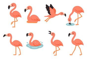Obraz premium Colorful Birds and Habitats. Flat vector mini-illustrations flamingo poses in colors children's illustrations: standing, sitting,