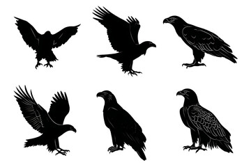 Fototapeta premium Silhouettes of various birds of prey in different poses against a plain background