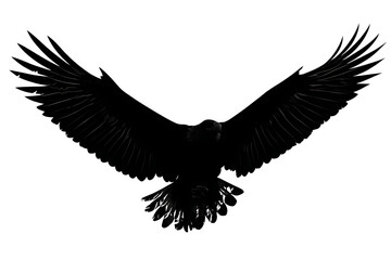 Obraz premium Majestic silhouette of a soaring eagle with outstretched wings against a white background