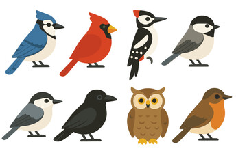 Fototapeta premium Forest Bird Icons. Flat vector mini-illustrations forest birds in colors children's illustrations: blue jay, cardinal, woodpecker,