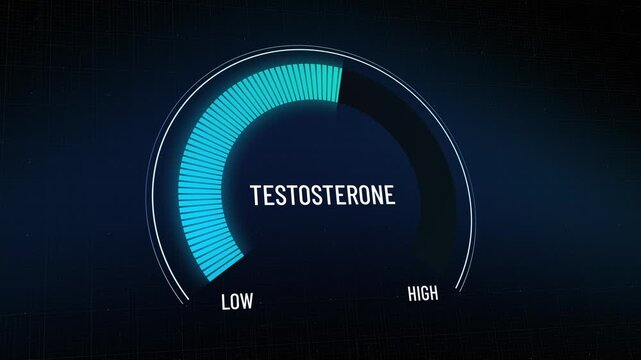 Animated blue digital gauge testosterone level, presentation needle moving from high to low, dashboard, measure indicator moves, performance meter, decreasing male hormone level, Copy space