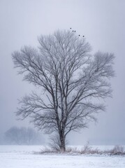 Fototapeta premium WINTER SEASON