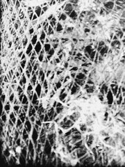 Black and White Abstract Texture – Interwoven Lines Artistic Background