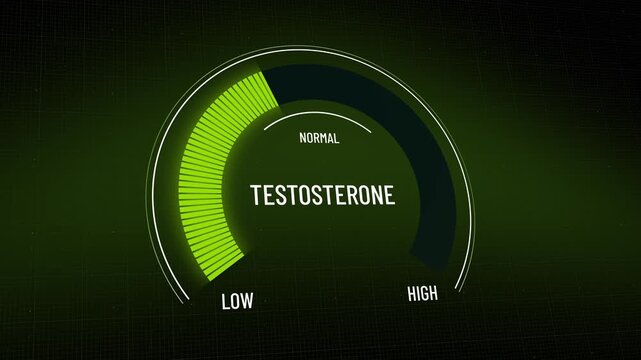 Animated digital testosterone level gauge for presentation, graphic showing transition from low levels to healthy normal, measurement moving up on digital meter, male hormone analysis, copy space.