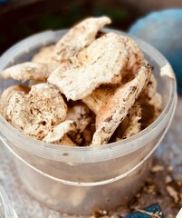bucket of peeled mushrooms	
