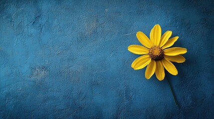 Single yellow flower on blue textured background. Ideal for greeting cards, blogs, or spring themes.