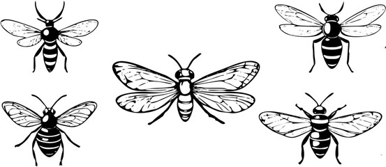 set of black and white vector insects