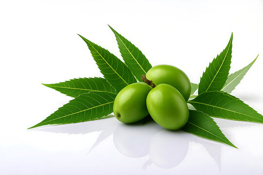 fruta de neem