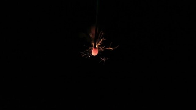 線香花火、スローモーション（59.94&rarr;29.97fps）、無音