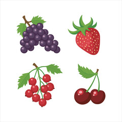 Fresh Red and Purple Fruits Vector Illustration,Colorful Fruit Set with Strawberry Grapes Cherry,Flat Style Berry and Fruit Collection,Assorted Berries and Fruits Vector Design,Cartoon Red Fruits 