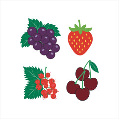 Fresh Red and Purple Fruits Vector Illustration,Colorful Fruit Set with Strawberry Grapes Cherry,Flat Style Berry and Fruit Collection,Assorted Berries and Fruits Vector Design,Cartoon Red Fruits 