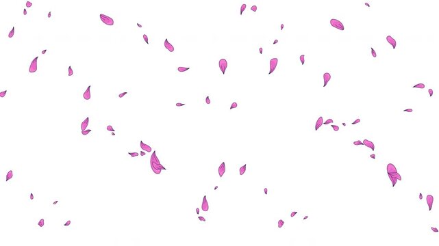 Delicate pink floral petals scattered and floating in air 2D cartoon animation. Love theme. Romantic spring. Seasonal flowers. Sakura blossoms falling animated flat colorful 4K video isolated on white