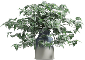 Side view of potted houseplant - Hedera Helix