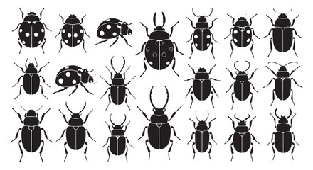 Collection of detailed black and white illustrations of various insects including beetles and ladybugs isolated on transparent background © SaHeD