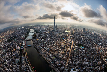 Wide-angle aerial view of Tokyo cityscape with Skytree Tower at the centre, Japan