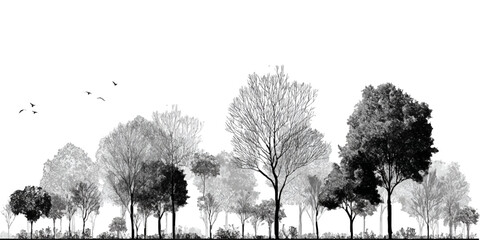 Architectural Drawings, Minimal style cad tree with roots line drawing and Tree Grunge vector, view, set of section wetland forest outline for landscape design drawing. 