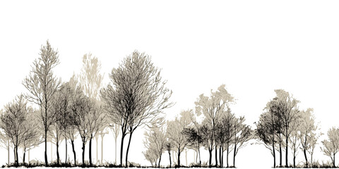 Architectural Drawings, Minimal style cad tree with roots line drawing and Tree Grunge vector, view, set of section wetland forest outline for landscape design drawing. 