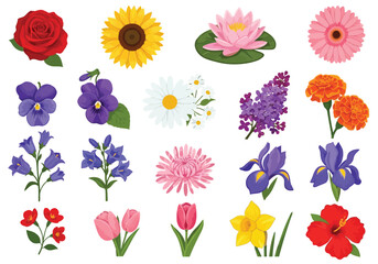 Vector illustration of collection of various colorful flowers
