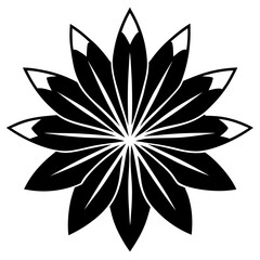 Petal Burst Silhouette