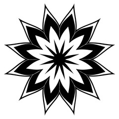 Obraz premium Floral Burst Vector