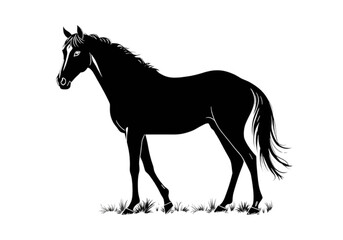 A Striking New Vector Silhouette of a Powerful Horse, Showcasing a Dynamic Stance and a Transparent Background for Any Creative Project.