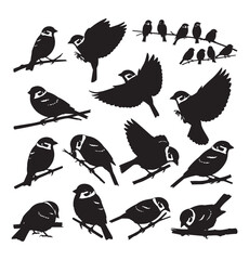 Collection of diverse sparrow silhouettes in various poses and actions perched on branches isolated on transparent background