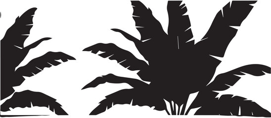 Silhouette of lush green palm tree fronds and leaves in a tropical paradise setting isolated on transparent background