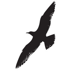 Abstract Bird in Flight (Top View)