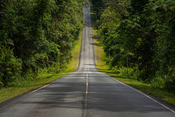 The post-rain atmosphere of a forest road leading up to the mountain peak in Khao Yai National Park, Thailand.