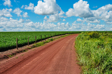 Typical landscape of remnant cerrado (savanna) with mechanized soybean farming. Abadiânia, GO,...