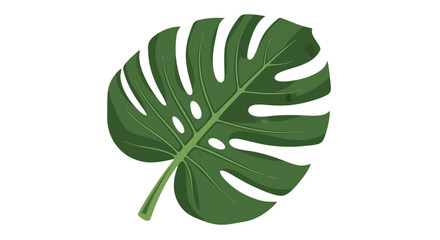 Vibrant green Monstera deliciosa leaf tropical plant illustration.