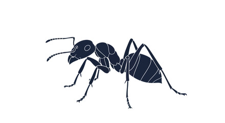Detailed illustration of a black ant on a white background.