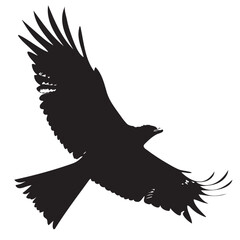 Abstract Bird in Flight (Front View)