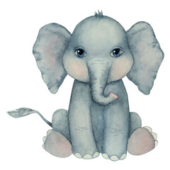 Hand drawn watercolor illustration. Cute little elephant on white background