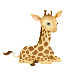 Hand drawn watercolor illustration. Cute little giraffe on white background.